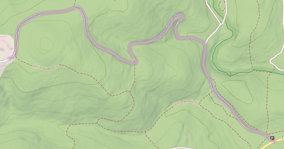 Map preview of Piste du Bois d'Opio Nord