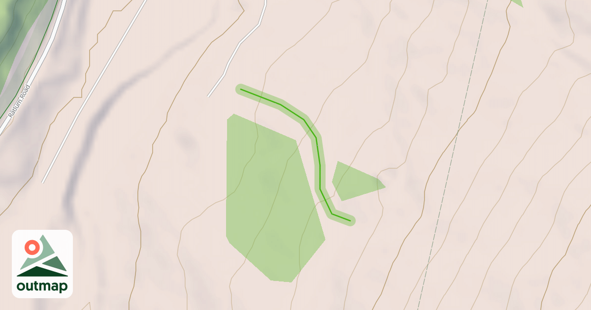 Map of Sensation