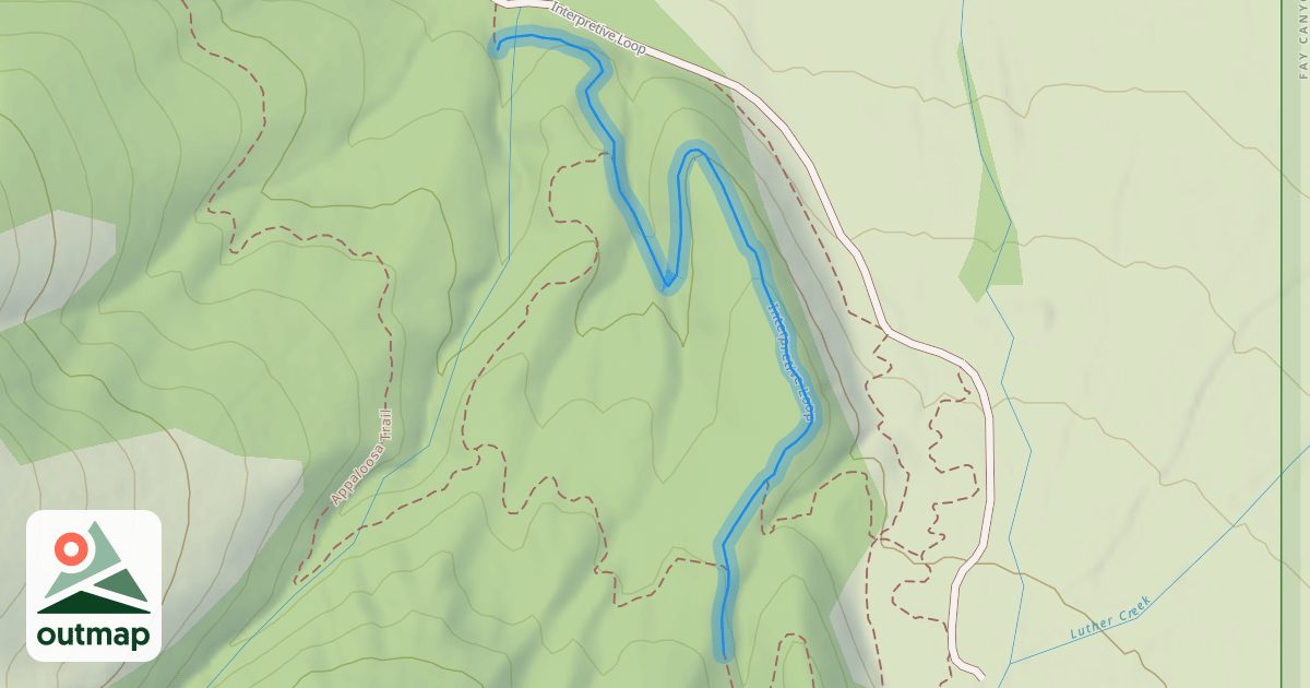 Map of Interpretive Loop