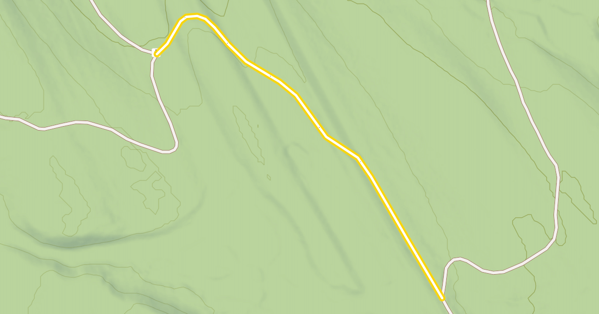 Map preview of National Forest Development Road 2916