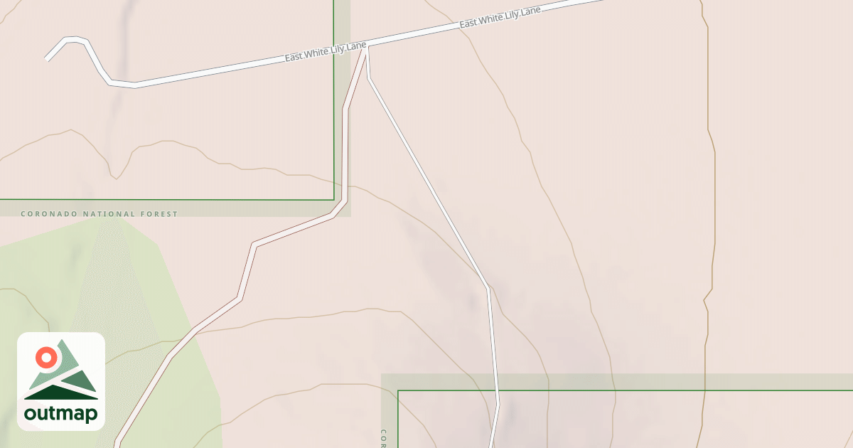 Map of LILY