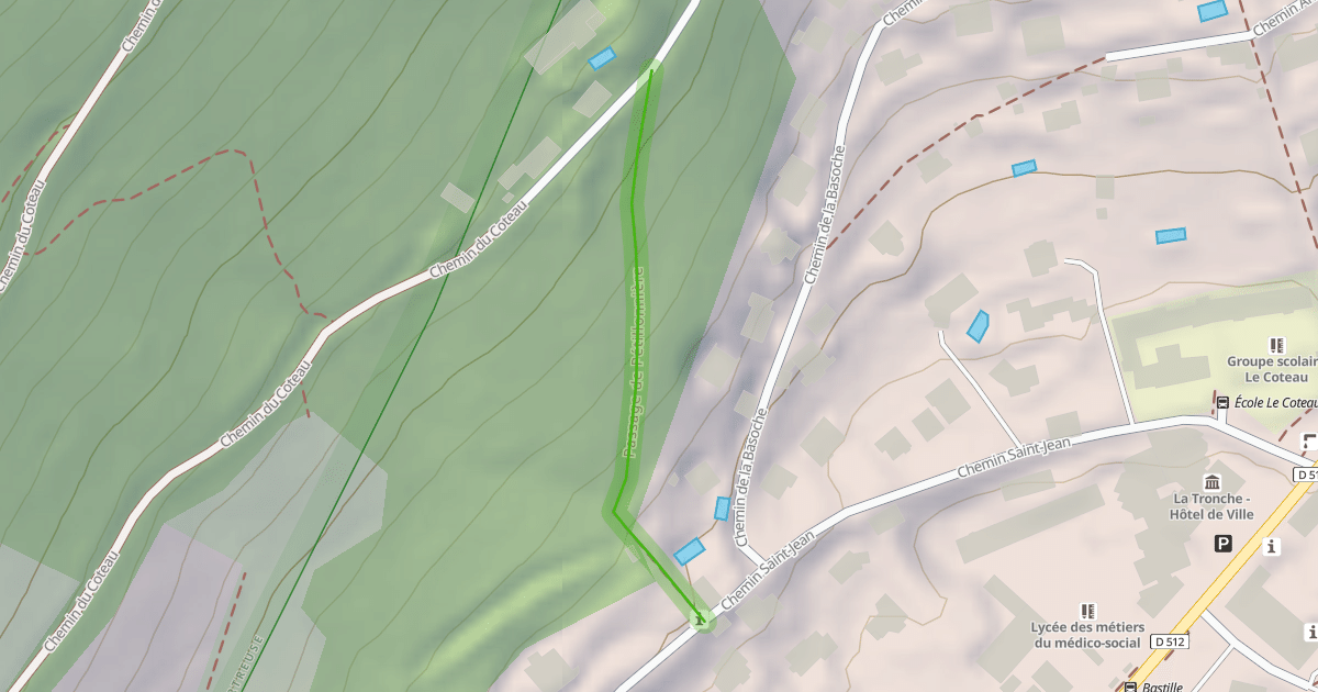 Map preview of Passage de Pétillonnière