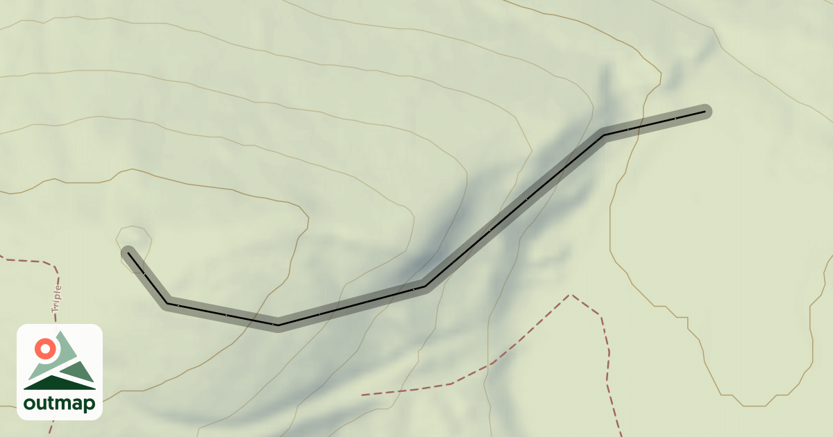 Map of The Jungle