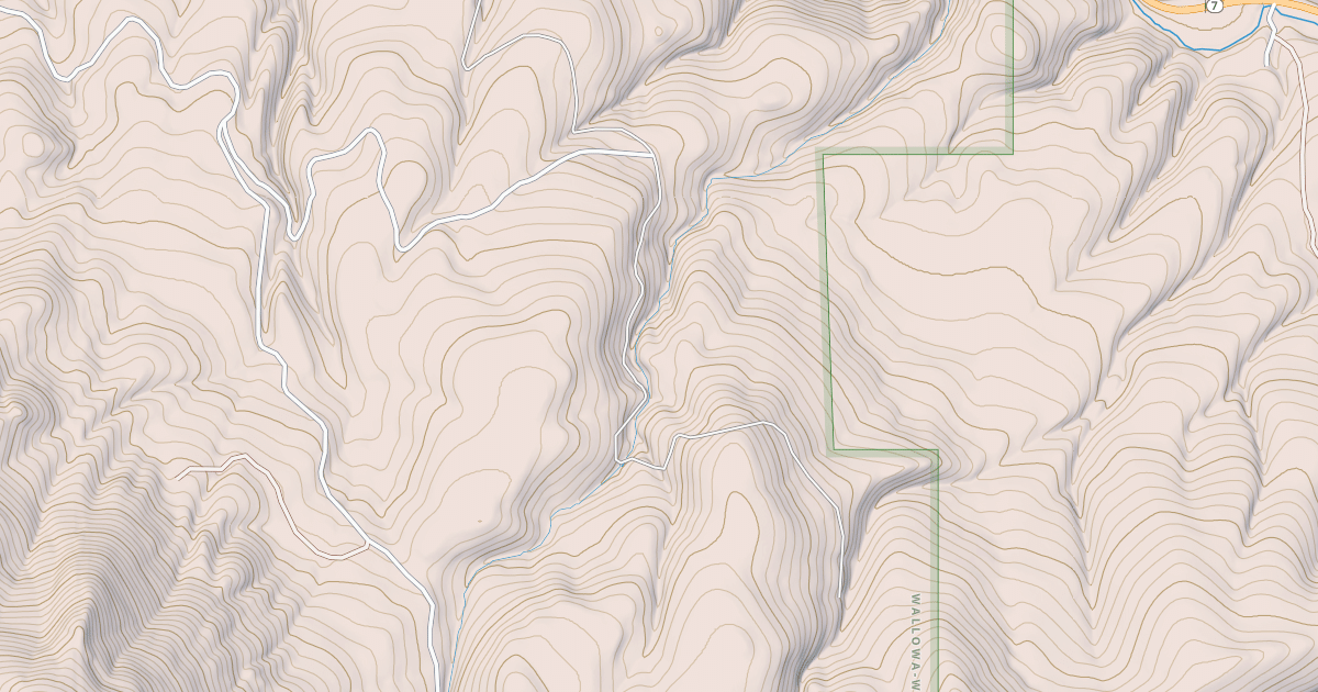 Map preview of USFS National Forest System Roads {275DFB24-7DA5-43FD-B4C8-7842B34D248B}