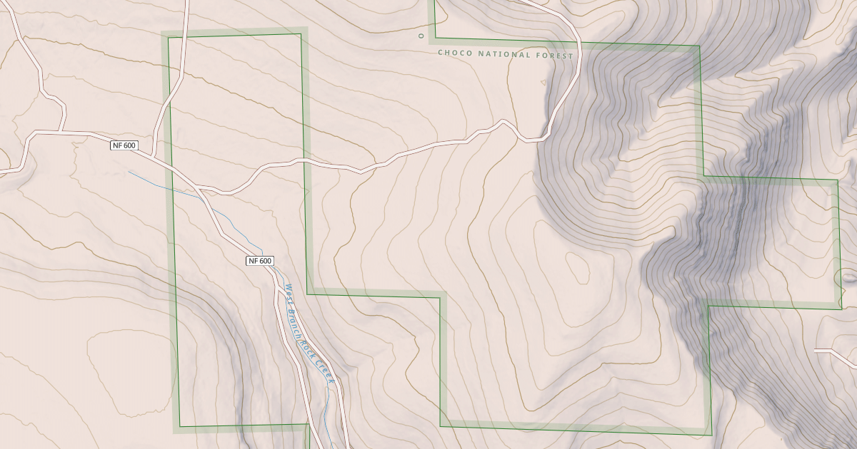 Map preview of USFS National Forest System Roads {930375A0-A5E4-4A5C-B20D-9BAE68DCBEC1}