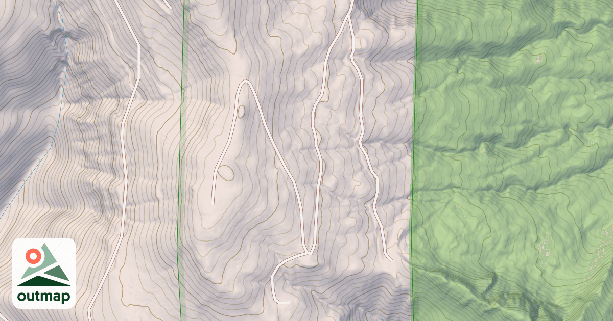 Map of USFS National Forest System Roads {02101555-F2F6-47F9-B5F0-17C20C4F2764}