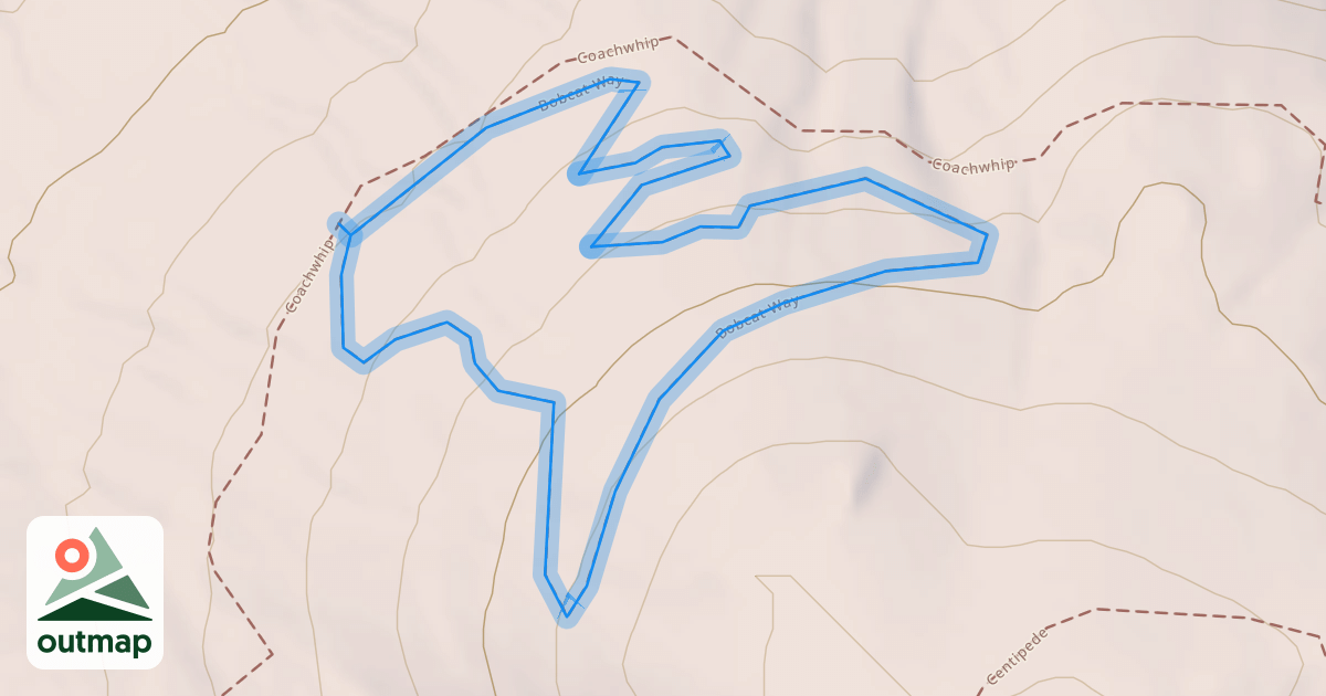 Map of Bobcat Way