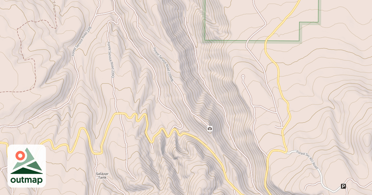 Map of USFS National Forest System Roads {A756A639-4743-4CC1-BD1B-34CA3A99C250}