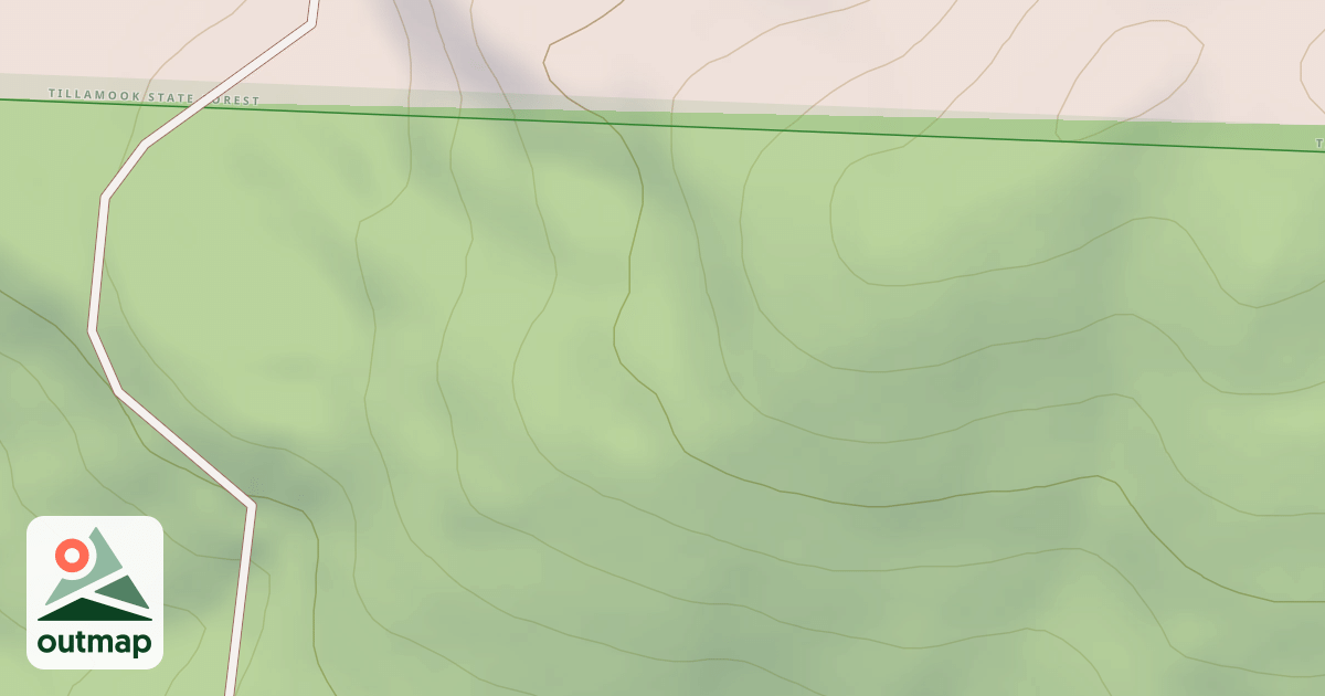 Map of Mutant Ferns