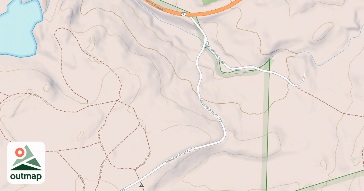 Map of Prospect Mtn Rd Snomo