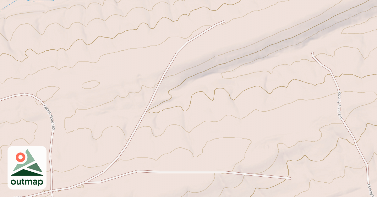 Map of SEED TREE