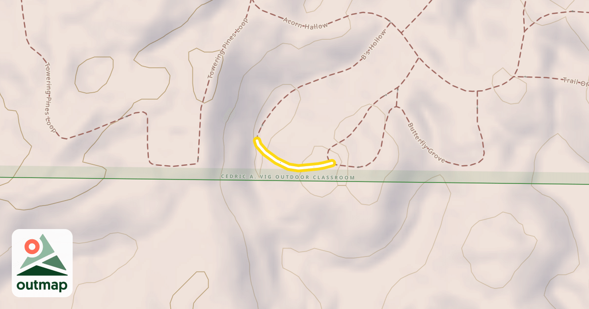Map of B's Hollow