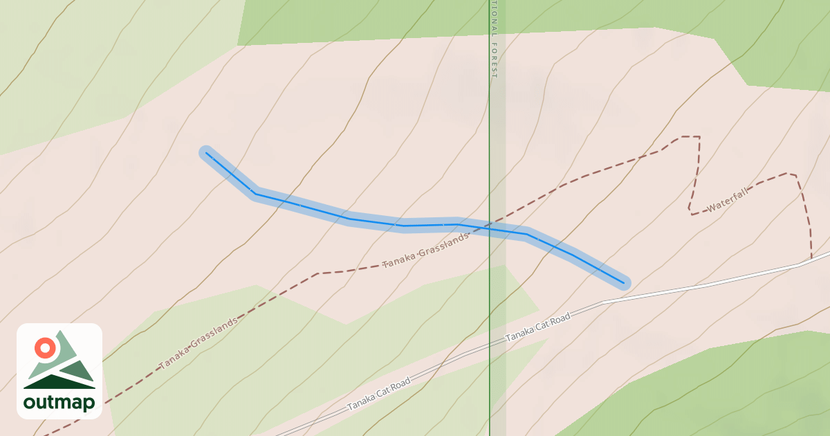 Map of Cabbage Patch