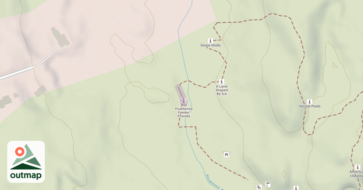 Map of Where in the Woods #7