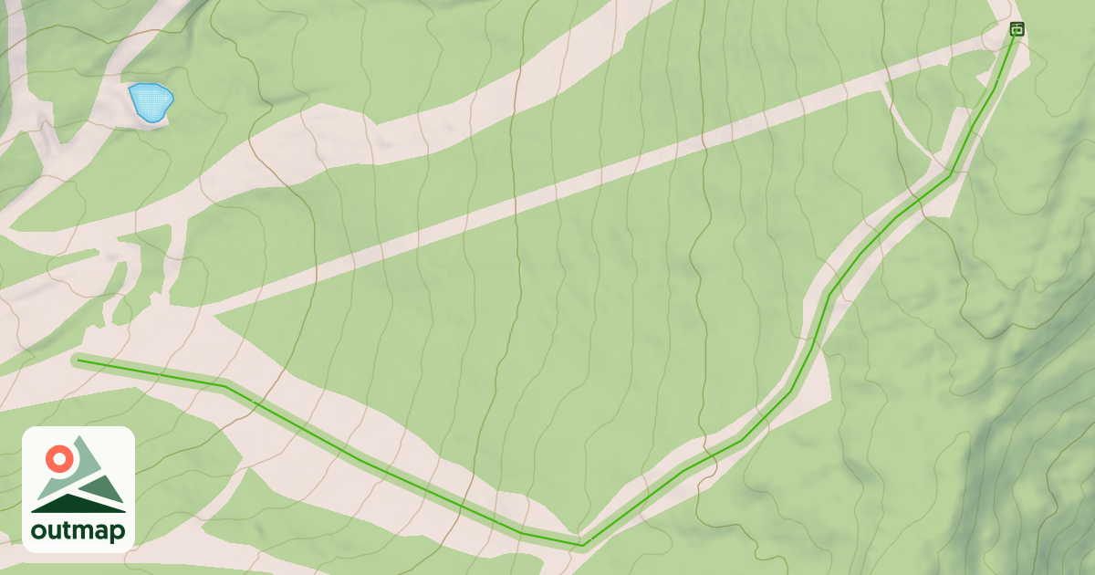 Map of Gold Bug