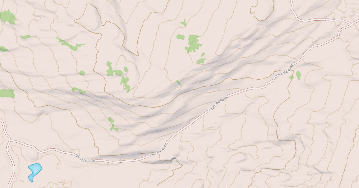 Map preview of COW LAKE