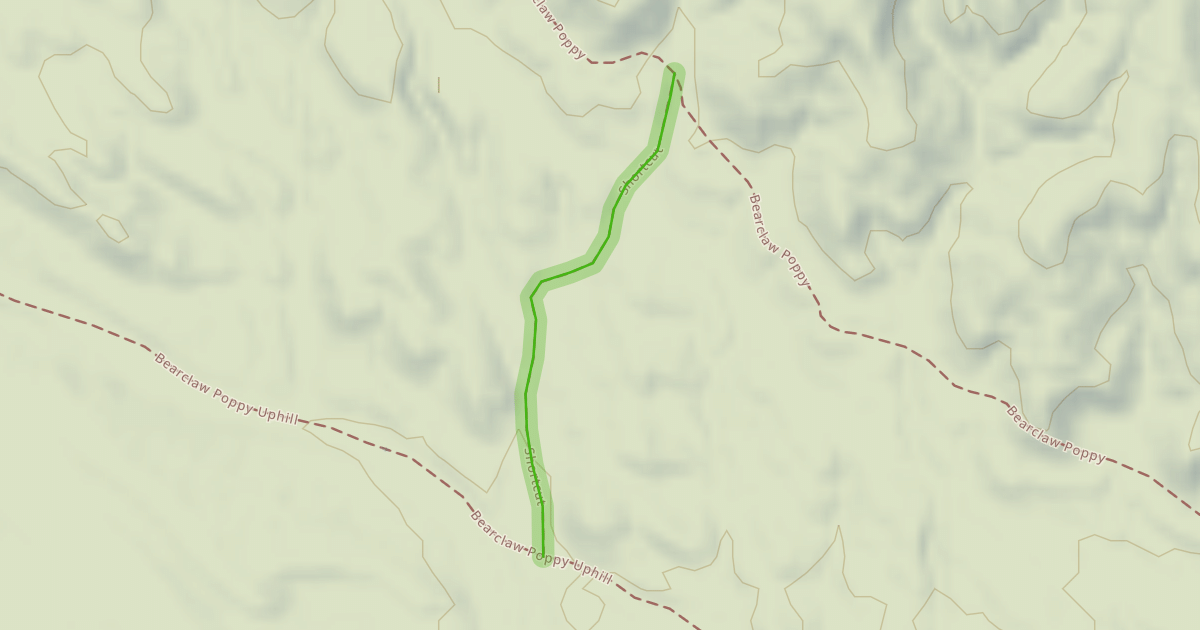 Map preview of Shortcut