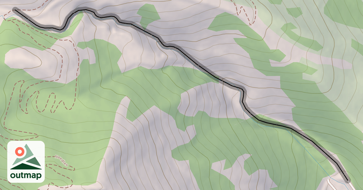 Map of Gordon's Gully