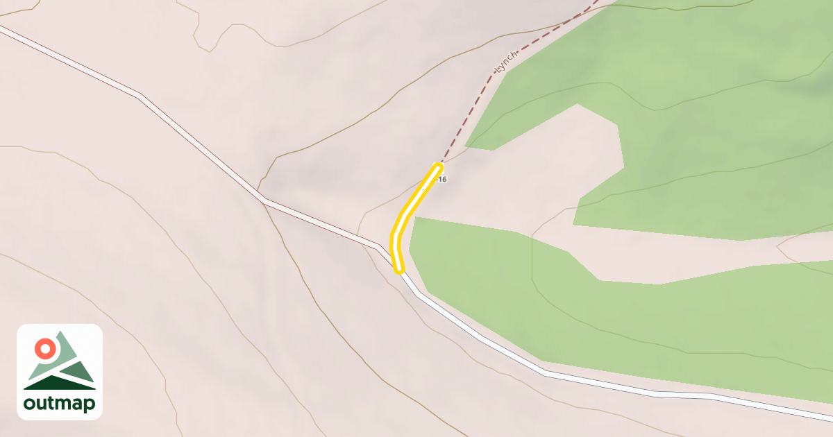 Map of Lynch