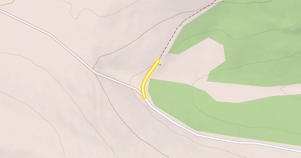 Map preview of Lynch