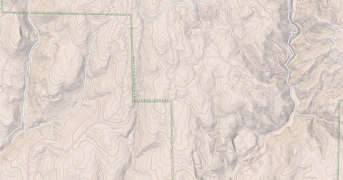 Map preview of USFS National Forest System Roads {7533DC96-BF84-4065-9C20-848189591AAF}