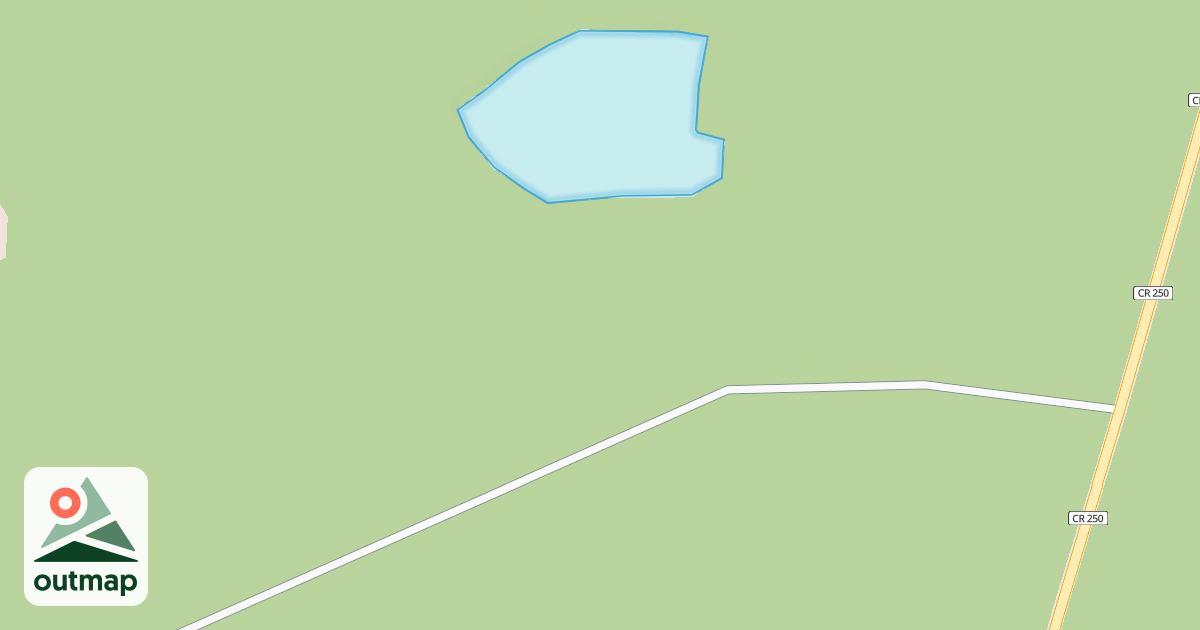 Map of USFS National Forest System Roads {19D833EF-A897-475D-8B9A-71D49F86E860}