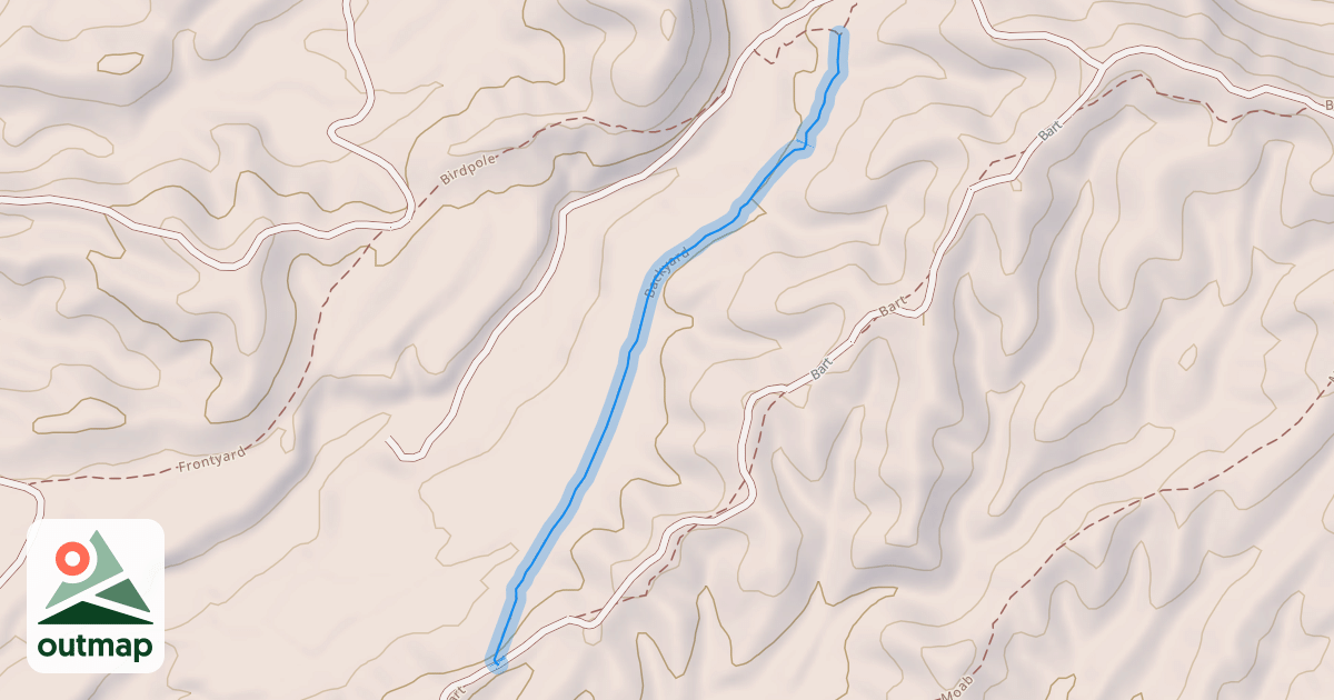 Map of Backyard