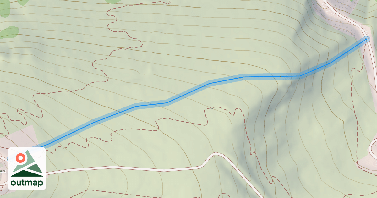 Map of violette