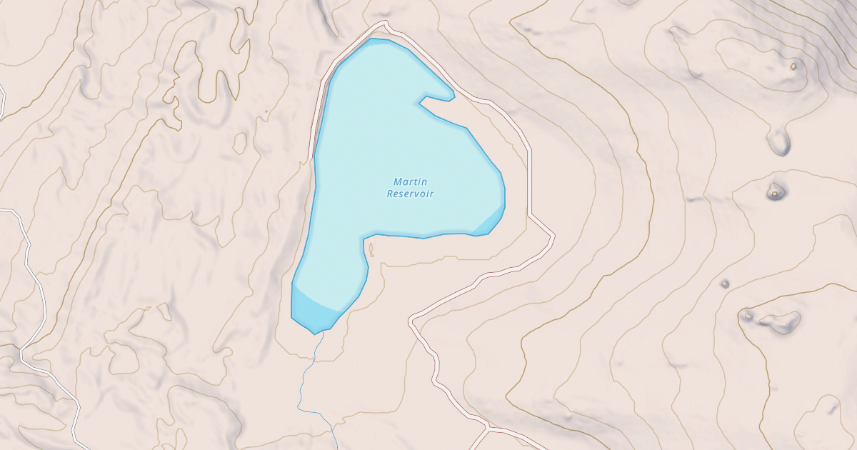 Map preview of MARTIN RESERVOIR