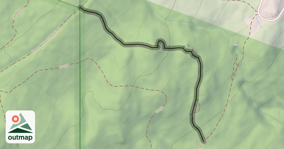 Map of 5 Slabs