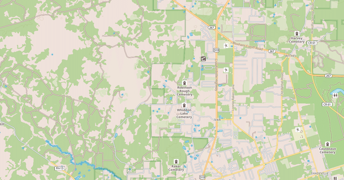 Map preview of USFS National Forest System Roads {245E7746-DF0A-4630-A3A0-2EBD30D10788}