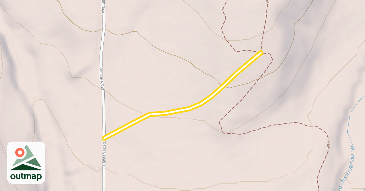 Map of Y7