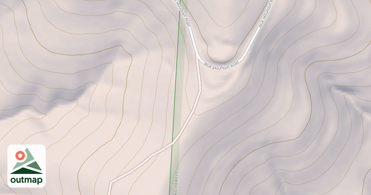 Map of USFS National Forest System Roads {D0D0E305-AD8F-464A-B267-736B2433A365}