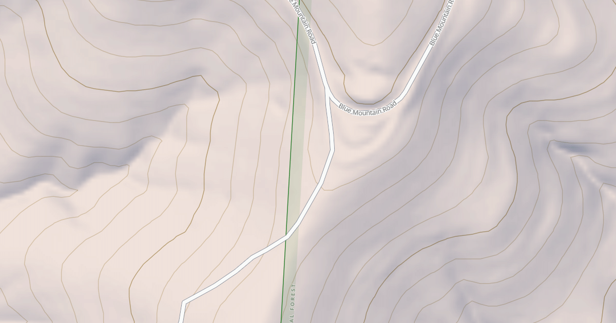 Map preview of USFS National Forest System Roads {D0D0E305-AD8F-464A-B267-736B2433A365}