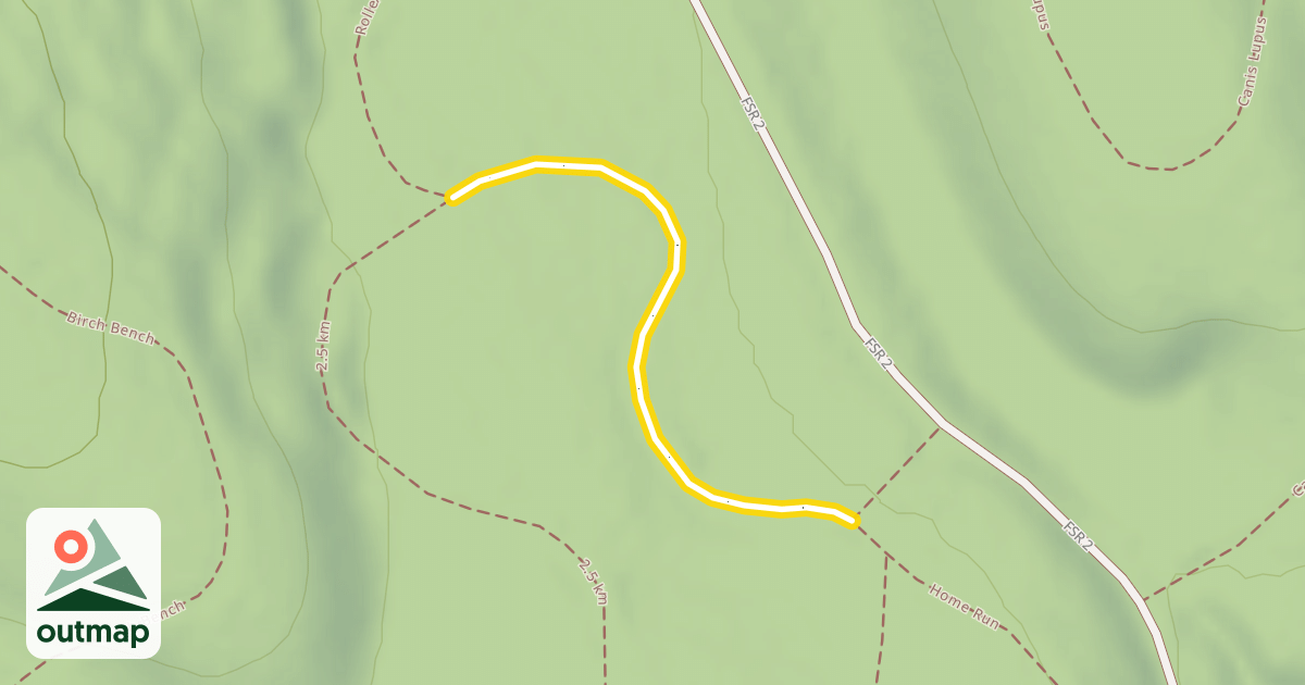 Map of Almost Back