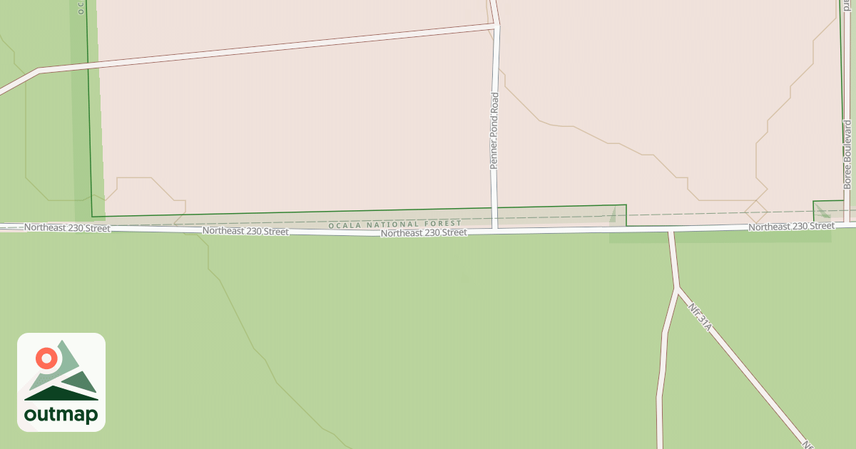 Map of USFS Motor Vehicle Use Map Roads {586AEA36-971D-4ADF-8F3D-D5485BCB3EB5}
