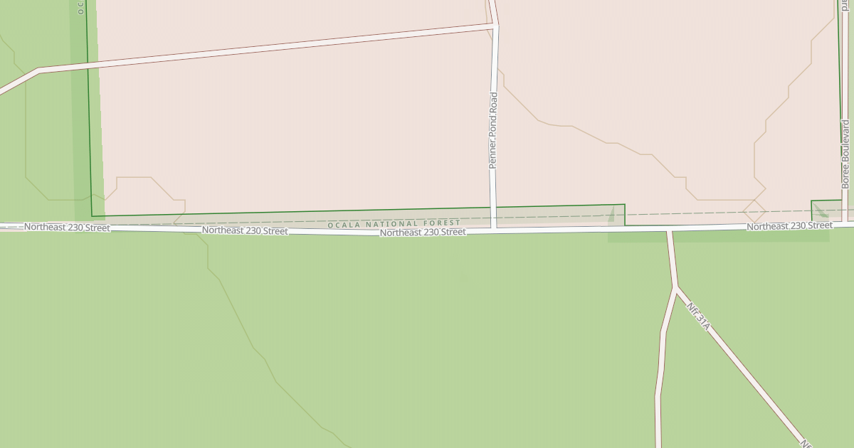 Map preview of USFS Motor Vehicle Use Map Roads {586AEA36-971D-4ADF-8F3D-D5485BCB3EB5}