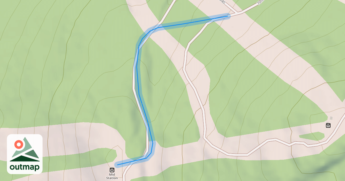 Map of Wood's Hole