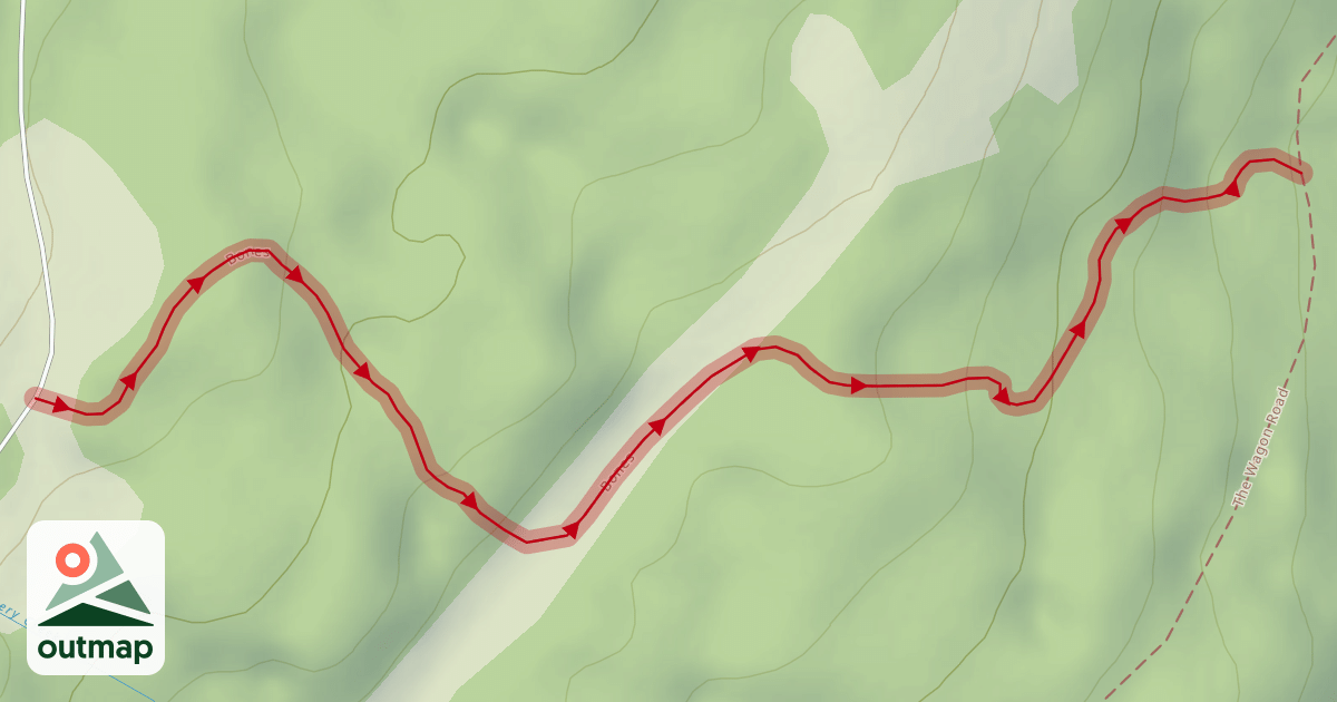Map of Bones