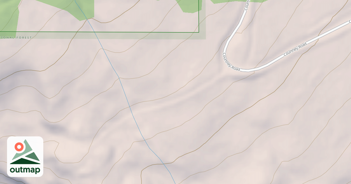 Map of USFS National Forest System Roads {D5CE3F05-DBED-4E9C-8C13-B7C14EF905B0}