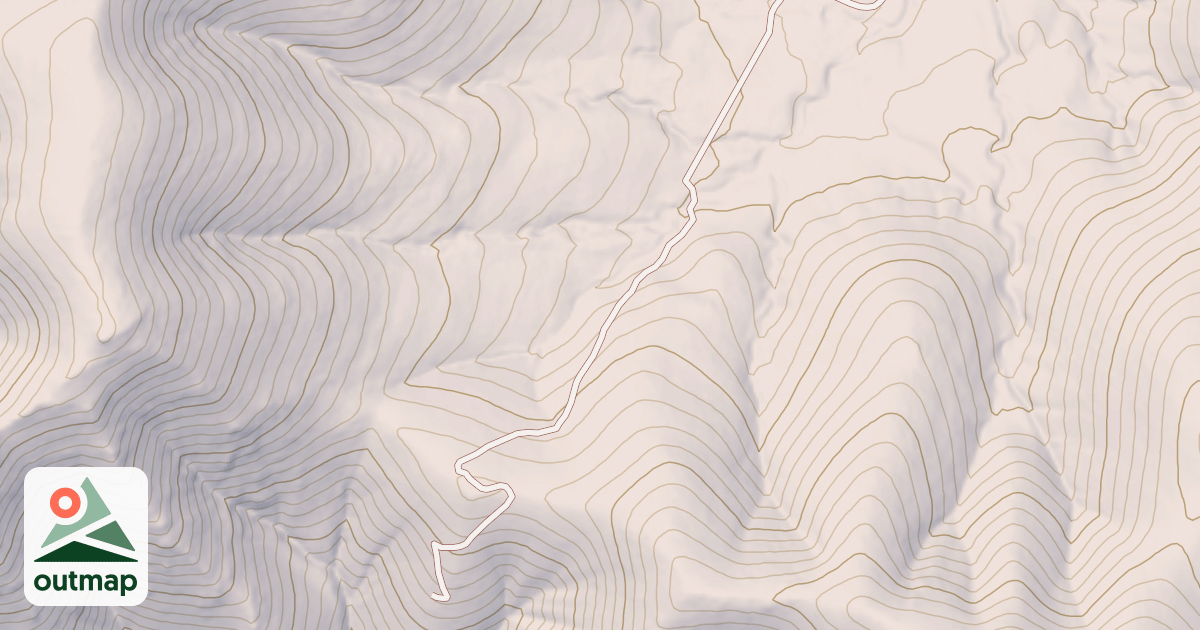 Map of USFS National Forest System Roads {99FA6018-08FB-4C39-8A0A-1F8B30F61F8A}