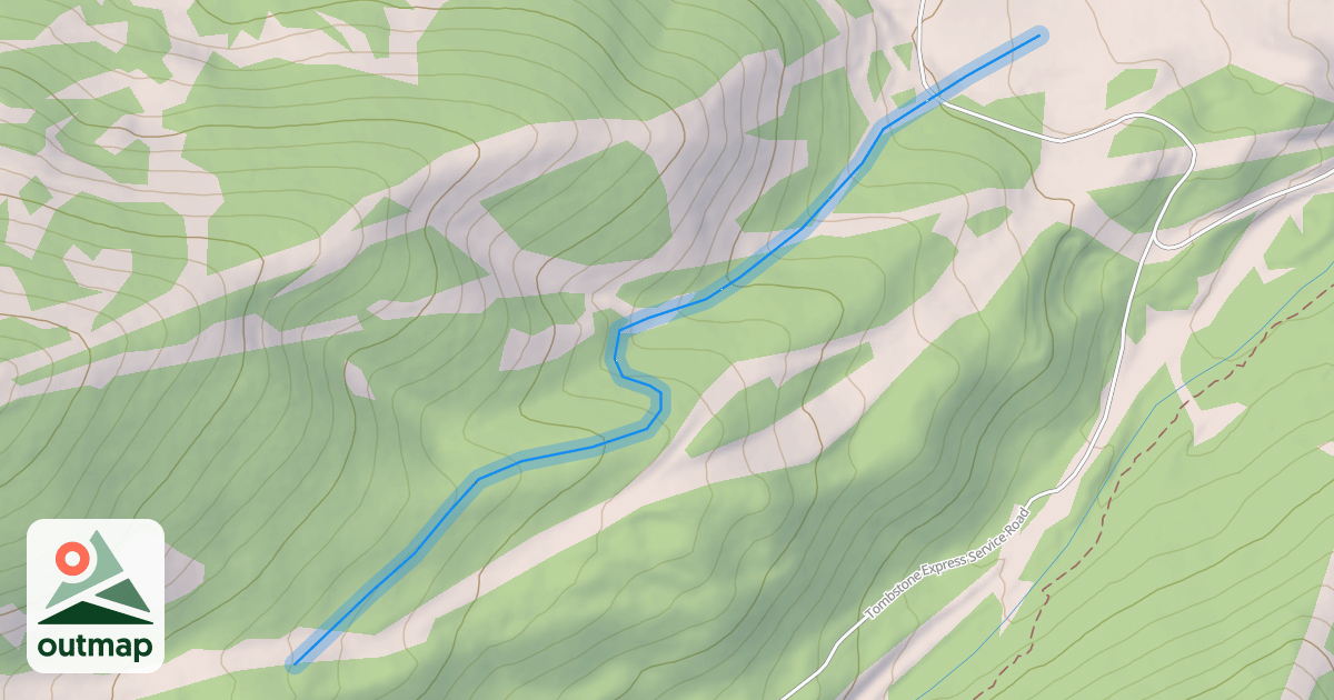 Map of Flying Salmon