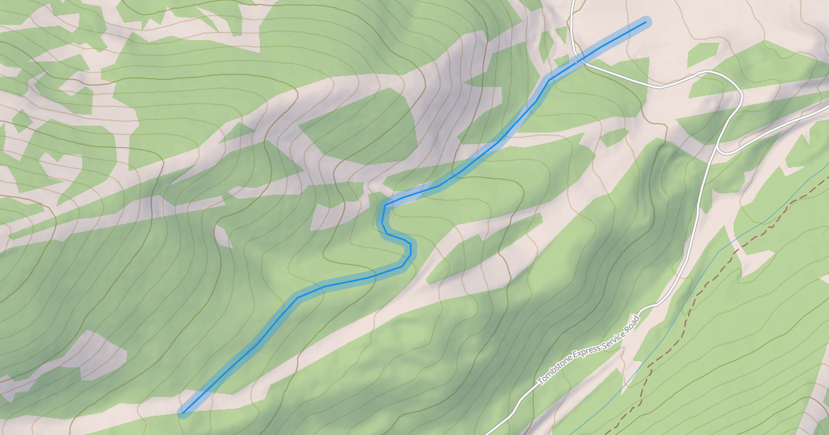 Map preview of Flying Salmon