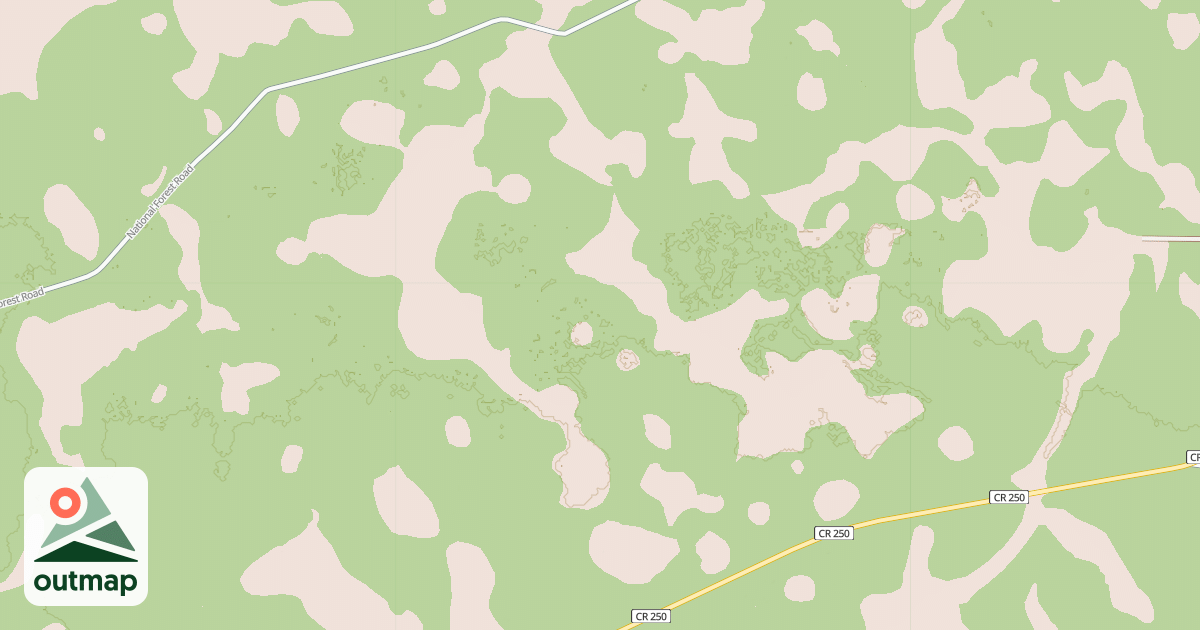 Map of USFS National Forest System Roads {150A0B7B-0DC5-4FF9-973D-E7C89DBCBCD9}