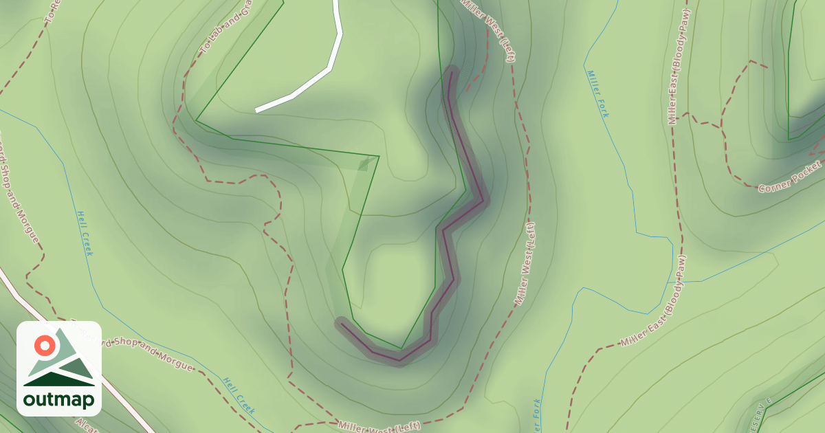 Map of Fruit Wall