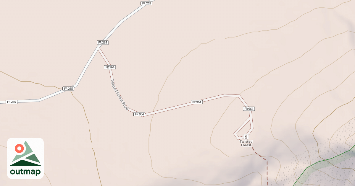 Map of TWISTED FOREST