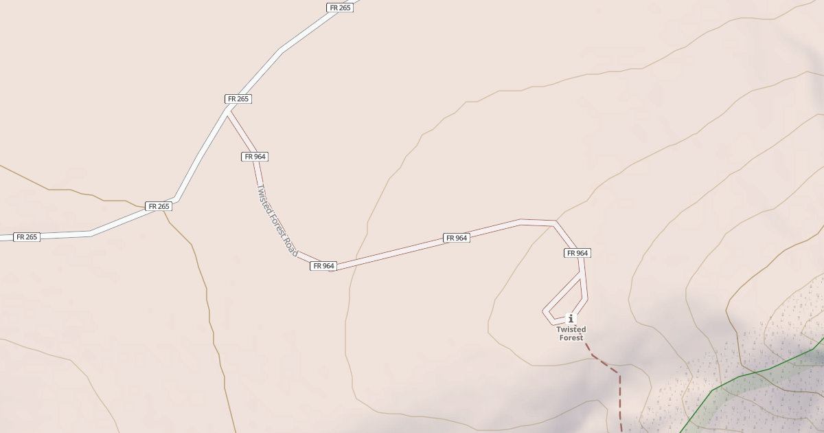 Map preview of TWISTED FOREST