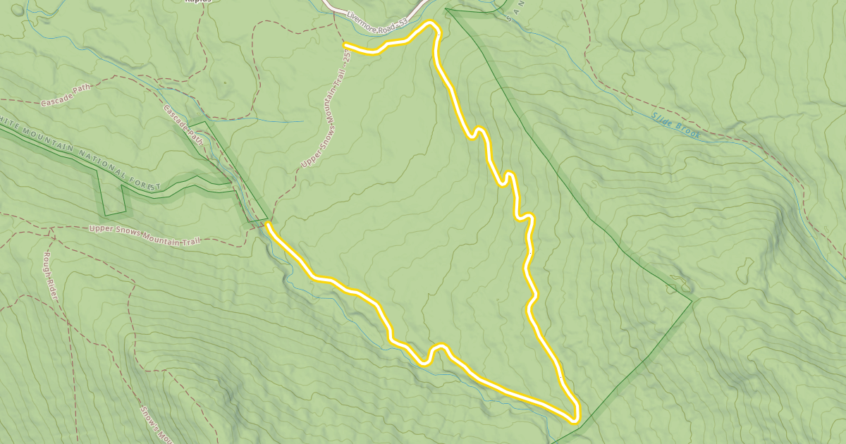 Map preview of Cascade Brook Trail