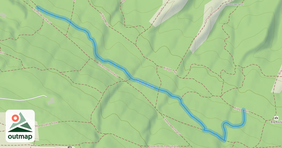 Map of Beaver Fever