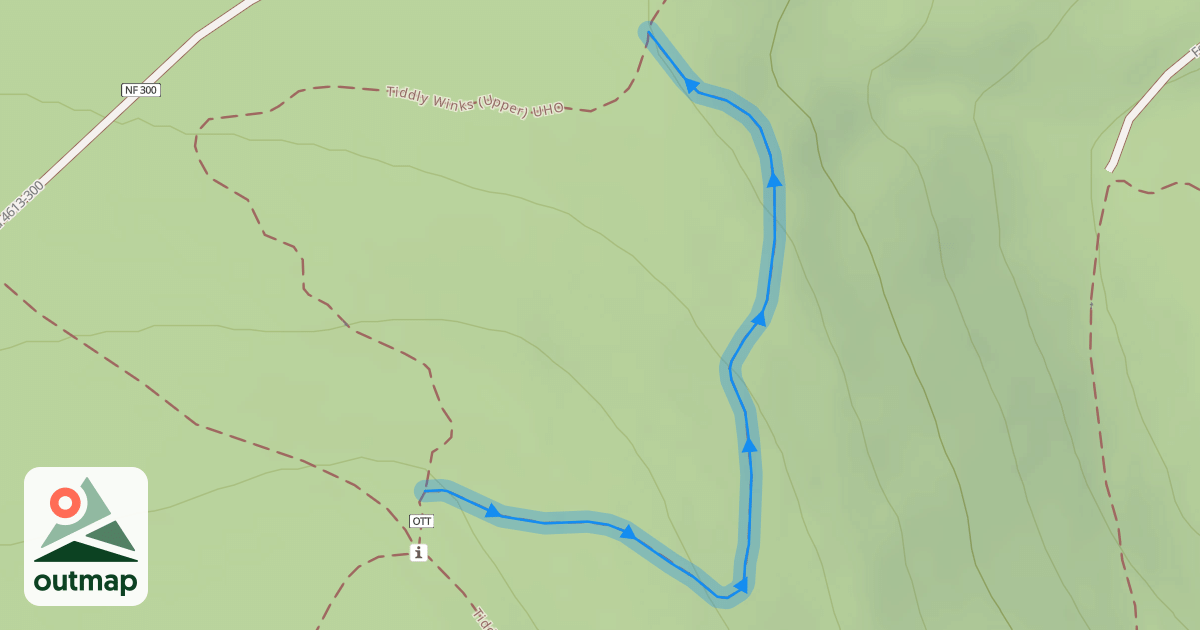 Map of Tiddly Winks (Upper) DHO